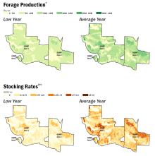 Grazing Capacity Overview